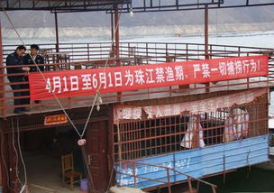 縣畜牧局多措并舉 強化禁漁期畜牧漁業(yè)飼料銷售管理