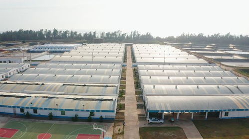 年銷售額達(dá)1.2億元，海威科技以創(chuàng)新引擎驅(qū)動水產(chǎn)種業(yè)振興