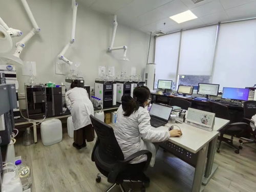 全市首批專精特新服務站試點落地昌平，助力新材料技術推廣服務